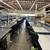 Storage Cabinets, Racks,Carts, Lab benches…. 21 thumbnail