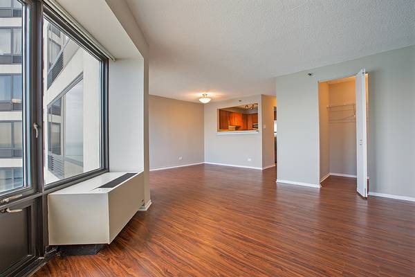 Awesome studio pet friendly with huge pool and 24 hr doorman 1