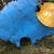 WHEN PIG'S FLY!!! LARGE Collectable metal "PIG" home or garden art. 8 thumbnail