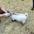 Lambs and goats for sale 4 thumbnail