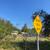 "RARE Hobby Farm for Sale 3.5 Irrigated Acres inside City Limits 5 thumbnail