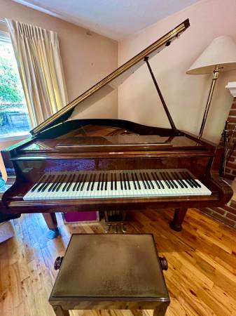 Petrof Baby Grand Piano 1