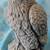 Mt Saint Helens Eagle Crafted From Volcanic Ash 5 1/2" X 3" 1 thumbnail