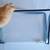 Metal File Holder, Stationery Holder and Clear Plastic File Holders 6 thumbnail