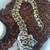 Ball python 5 thumbnail
