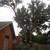 FREE ESTIMATE ON TREE SERVICE 10 thumbnail