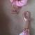 Dog leash 2 thumbnail