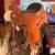 Western Roping Saddle DAKOTA 16" All Leather 1 thumbnail