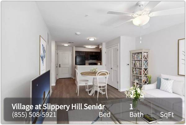 $585 / 1br - Beyond Four Walls: A Place to Truly Call Home! (Queenstown - Terrapin Nature Park)63806890817409122