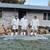 A&Z INSULATION FAMILY OWNED- INSULATION INSTALLATION & REMOVAL 360x503x3945 4 thumbnail