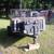 Utility trailer 1 thumbnail
