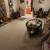 Cozy, Spacious, Immaculate Rooms in Uncrowded Solitude Home 15 thumbnail