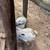 Chickens 3 thumbnail