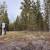 3.55 Acre Mountain Lot with 30x40 Detached Shop-Well-Septic-RV 3 thumbnail