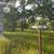 10.06 Acres with AG Water Ditch 6 thumbnail