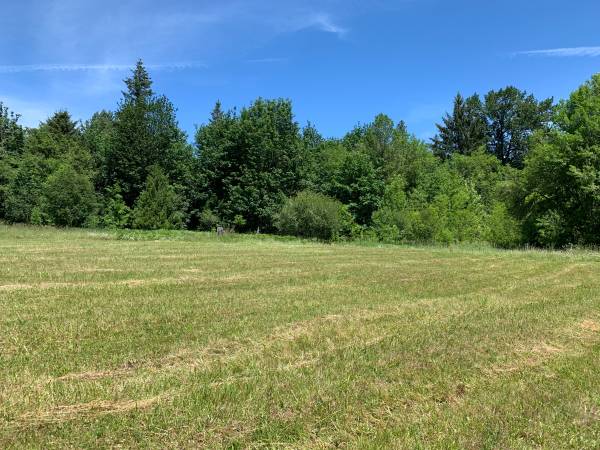 $160,000 2.25 Acres: Semi-prepped for Build! (One of Two 2.25-acre lots) (Toutle, WA)64150331911041121