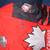 Nike Team Canada Olympic Hockey Jersey 3 thumbnail
