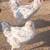 Olive Egger Chickens 2 thumbnail