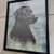 Black Labrador Retriever Framed Picture 3 thumbnail