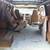 Chevy Van 1979 one owner 3 thumbnail