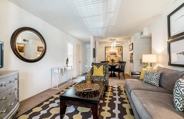 $970 / 1br - 632ft2 - Move In Ready 1 Bedroom 1 Bath63792146018817120