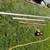 Mast 21’ 2 thumbnail