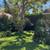 3bed/2bath Beautiful House in Santa Monica 21 thumbnail