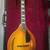Octave Mandolin / Octave Mandola 1 thumbnail