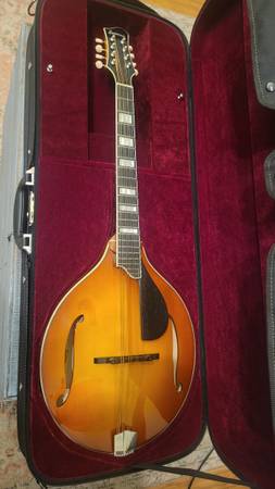 Octave Mandolin / Octave Mandola 1