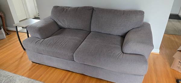 Couch and loveseat 1