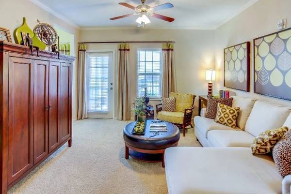 $650 / 1br - 🌸🌼This 1BR/1BA apartment _____🌻1121 S Brannon Stand Rd (Dothan, AL)63673283615619122