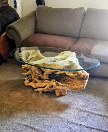 One of kind coffee table 1