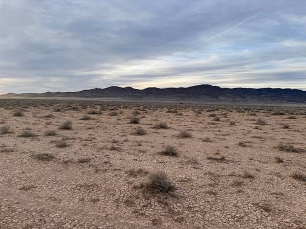 $40,000 40acres #E-0721-0000-0000 for sale (Lund)63932586864770120