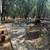 Meadow Vista 2 Bedroom/1 Bath 23 thumbnail