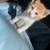 Little orange kitten available today 3 thumbnail