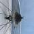 Shimano 600 wheelset 6 speed freewheel 5 thumbnail