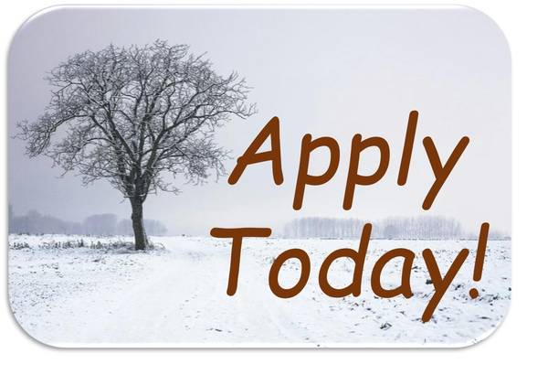 Apply Today! Beautiful Updated 2bd/1ba! Call Today! 1