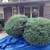 Professional Bush Trimming, Mulch & Yard Cleanups - Free Estimates 5 thumbnail