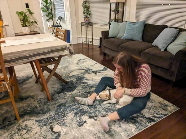 Really Big Rug - 12ft x 9ft (FREE DELIVERY) 1