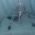 TAMA Heavy Duty Legend In Imagination High Hat Cymbal Stand Excellent Condition 9 thumbnail