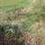 1/2 Acre Building Site: Plum City, Wisconsin 13 thumbnail
