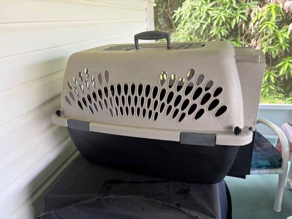 Bird or cat or small dog carrier