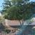 Monsoon help/Handyman/Landscaping/Tree trim/Powerwash $25 hrly/per job 13 thumbnail