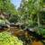 Beautiful 2-Bedroom, 2-Bath Apartment in the Heart of Brentwood 21 thumbnail