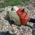 Stihl Weed Wacker 4 thumbnail