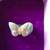 14K Butterfly Jade Ring 1 thumbnail