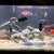 African cichlid fish 2 thumbnail