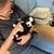 Toy/Miniature Australian shepherd 1 thumbnail