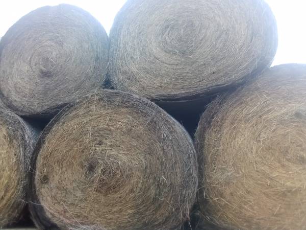 2024 round bales net wrap 1