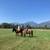 Guest Ranch 6 thumbnail